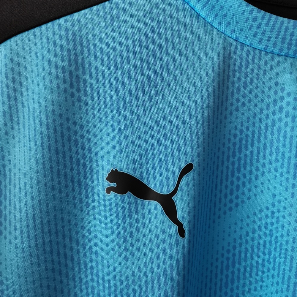 PUMA ftblNXT Men's Graphic Soccer Jersey - (L) - Picture 6 of 11
